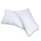 90-100% down-content half pillow (pure down)