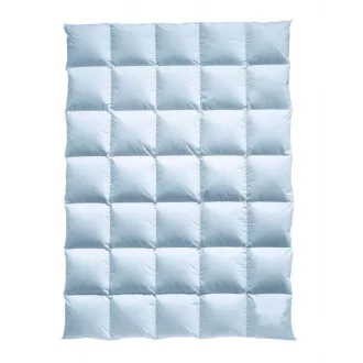 30% down content summer duvet