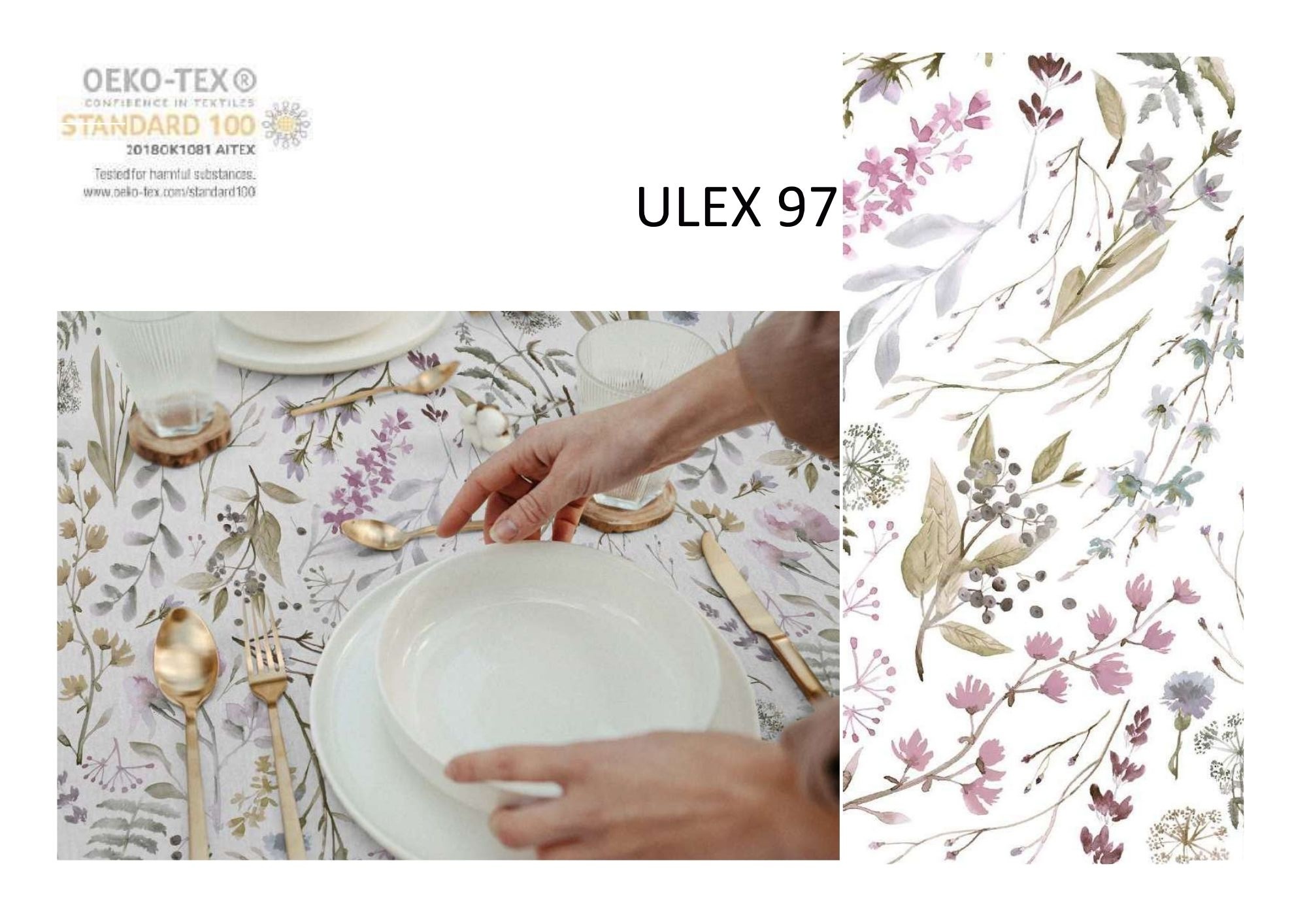 ulex-terito.jpg
